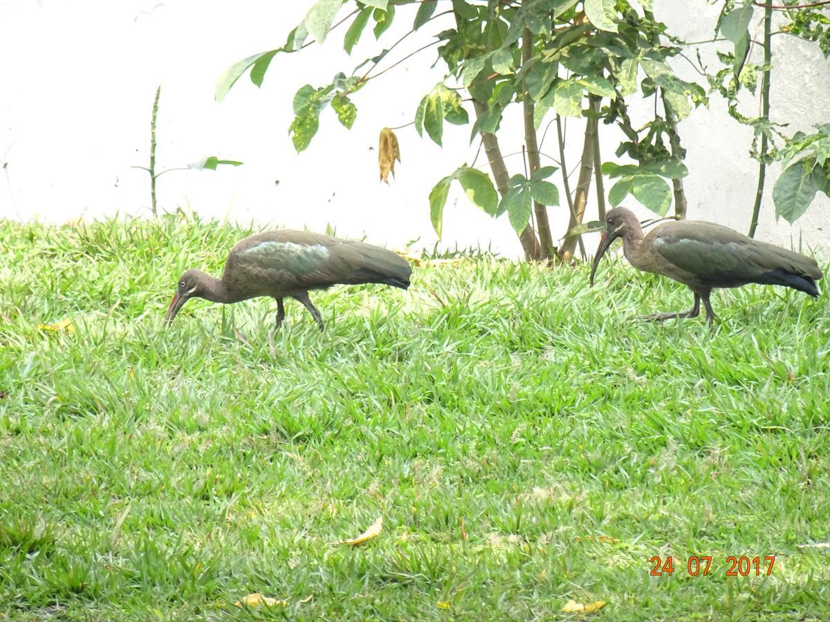 Kivu Beach Garden Gisenyi Exterior photo